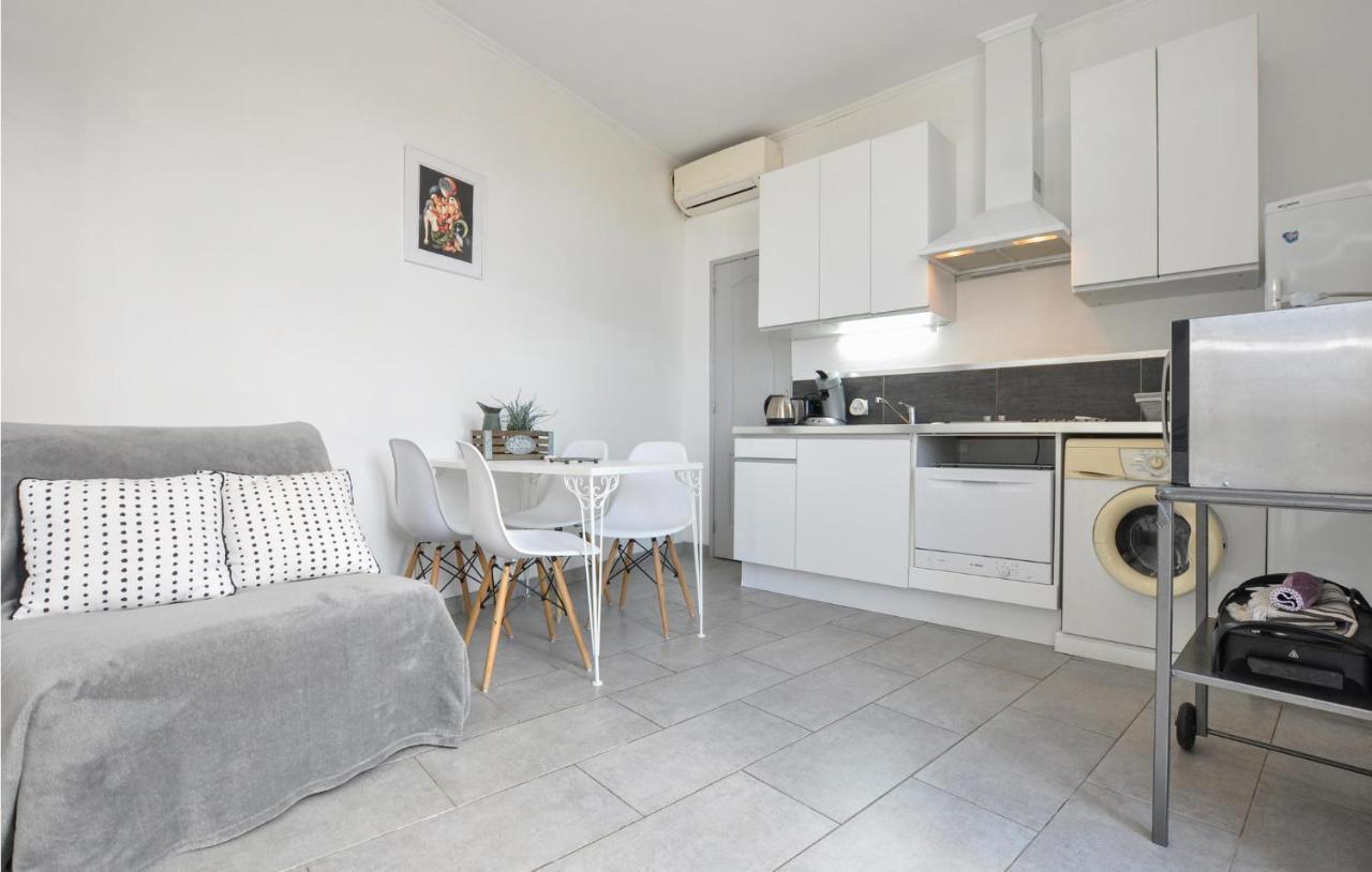 Beautiful In With Kitchen Apartment Nizza